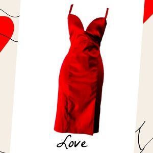 Sultry Sophistication | Bebe Satin Red Dress (6)